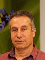 Dr. Hisham Hammad