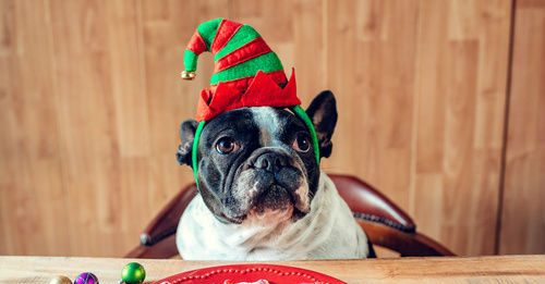 3 Weihnachtsspeisen, die gar nicht so ungesund sind