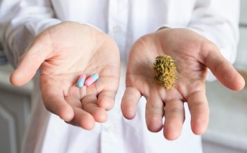 Ein Doktor hält in einer Hand eine Cannabis-Blüte und in der anderen zwei Kapseln.