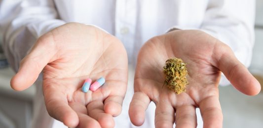 Ein Doktor hält in einer Hand eine Cannabis-Blüte und in der anderen zwei Kapseln.