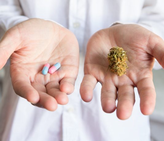 Ein Doktor hält in einer Hand eine Cannabis-Blüte und in der anderen zwei Kapseln.