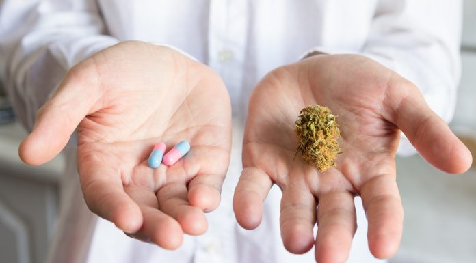 Ein Doktor hält in einer Hand eine Cannabis-Blüte und in der anderen zwei Kapseln.