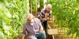 Kann man das Altern durch die Ernährung aufhalten?