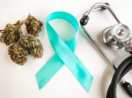 Cannabis Blüten, eine blaue Schleife und daneben liegt ein Stethoskop.