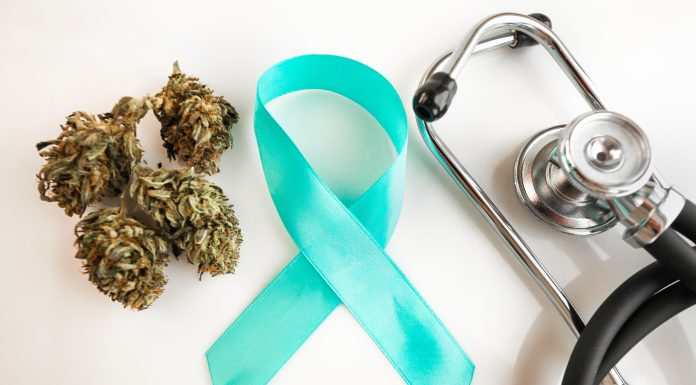 Cannabis Blüten, eine blaue Schleife und daneben liegt ein Stethoskop.