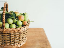 Herbstfrüchte und Krankheitvorbeugung