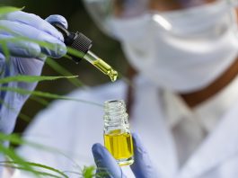 Eine Person in Laborkittel mit Schutzbrille und Handschuhen hält eine Pipette mit grünem Öl.