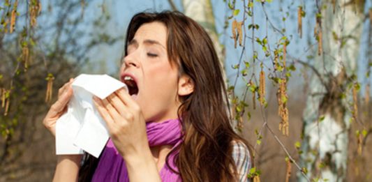 Birkenpollenallergie – das hilft!