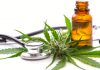 Cannabinoide in der Schmerztherapie: Wirkprofile und therapeutische Anwendungsmöglichkeiten 2026 Cannabisblüte, Hanfblätter, braunes Ölfläschchen und Stethoskop als Symbolbild für medizinisches Cannabis und mögliche Anwendungen in der Schmerztherapie.