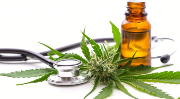 Cannabinoide in der Schmerztherapie: Wirkprofile und therapeutische Anwendungsmöglichkeiten 2026 Cannabisblüte, Hanfblätter, braunes Ölfläschchen und Stethoskop als Symbolbild für medizinisches Cannabis und mögliche Anwendungen in der Schmerztherapie.