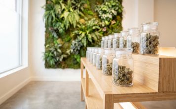 Gläser mit medizinischen Cannabisblüten in moderner Praxisumgebung, dargestellt als Teil einer kontrollierten Cannabistherapie