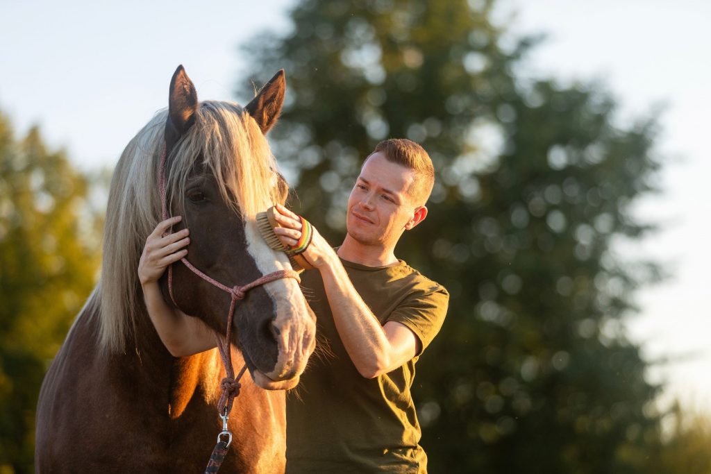 Mann bürstet ein Pferd im Freien als Beispiel für pferdegestützte Therapie und den ruhigen Kontakt zwischen Mensch und Tier.