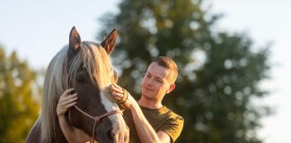 Mann bürstet ein Pferd im Freien als Beispiel für pferdegestützte Therapie und den ruhigen Kontakt zwischen Mensch und Tier.